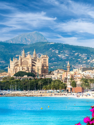Mallorca Palma Homepage